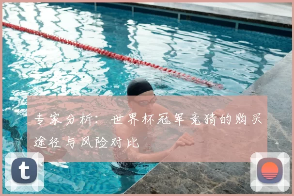 专家分析:世界杯冠军竞猜的购买途径与风险对比