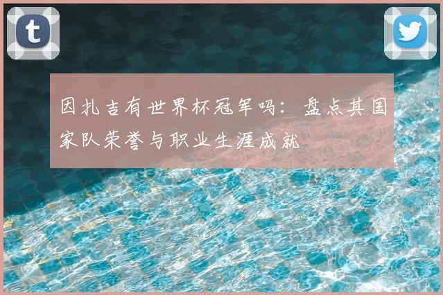 因扎吉有世界杯冠军吗:盘点其国家队荣誉与职业生涯成就