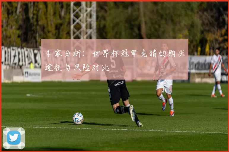 专家分析:世界杯冠军竞猜的购买途径与风险对比