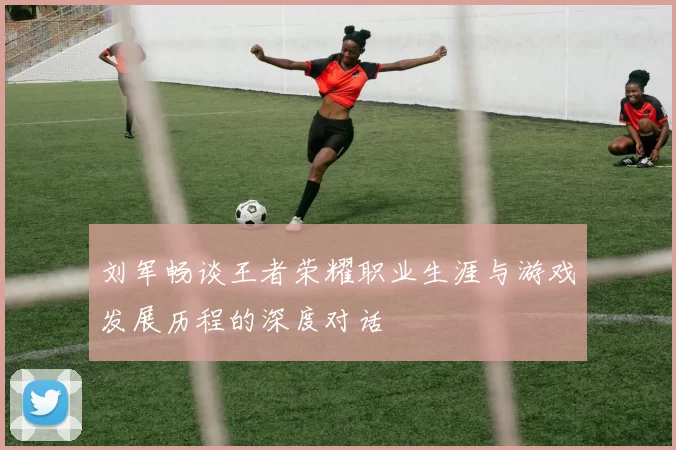 刘军畅谈王者荣耀职业生涯与游戏发展历程的深度对话