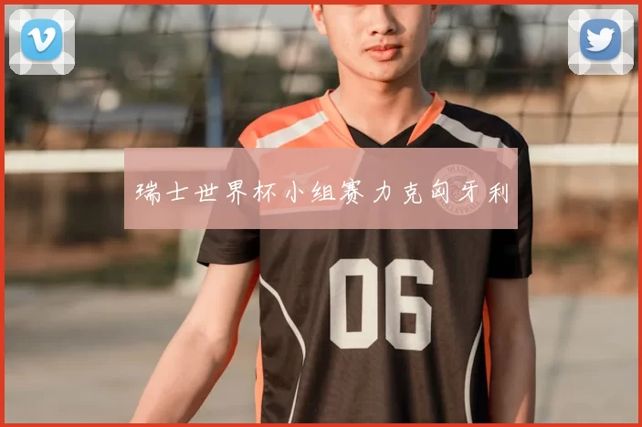 瑞士世界杯小组赛力克匈牙利