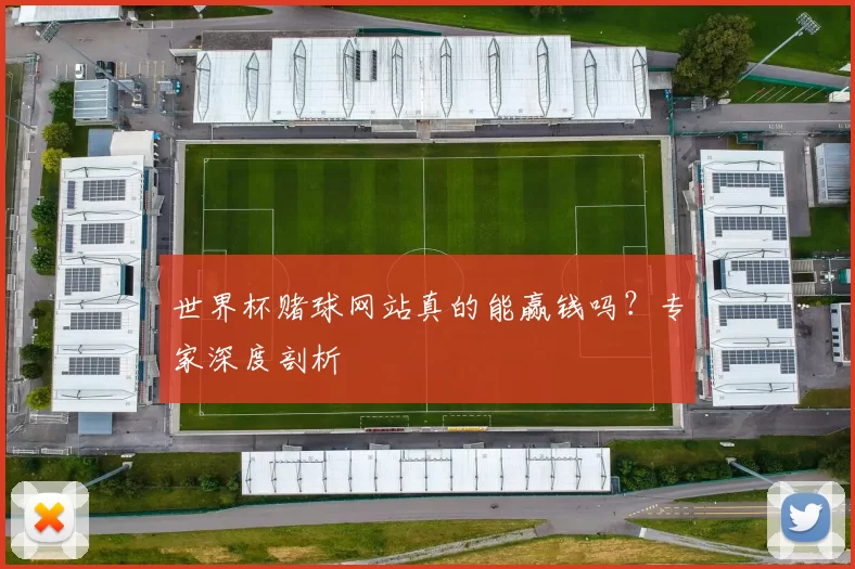 世界杯赌球网站真的能赢钱吗？专家深度剖析