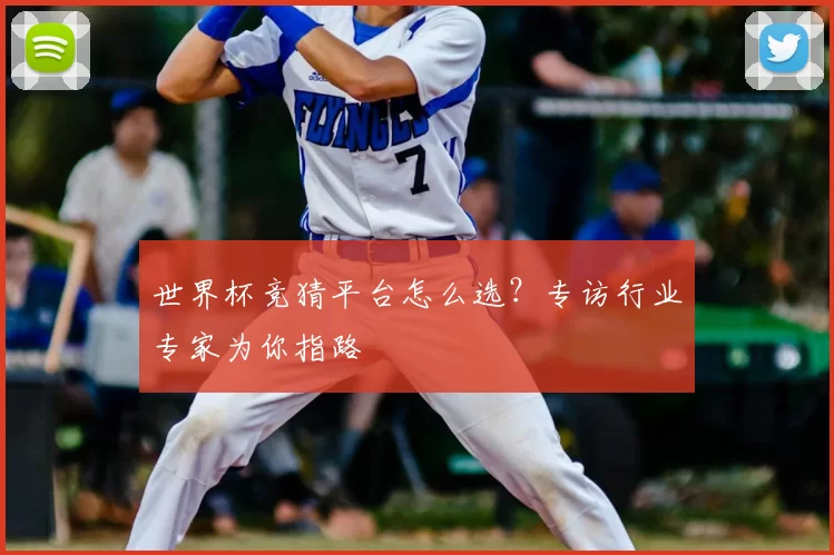世界杯竞猜平台怎么选？专访行业专家为你指路