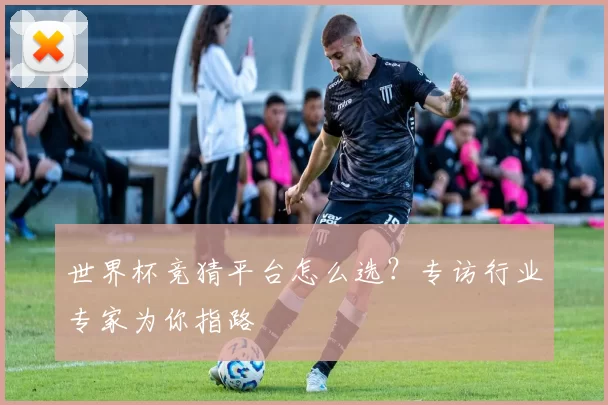 世界杯竞猜平台怎么选?专访行业专家为你指路